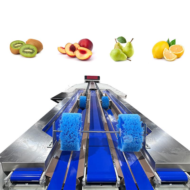 images/1763964953243kiwi processing 1.jpg